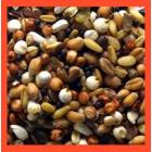 Red Band Haith's 1kg